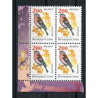 Девятый стандартный выпуск "Птицы сада" Беларусь 2006 год (653) 1 марка в квартблоке (мелованная бумага)