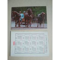 Карманный календарик. Лошади. Казахстан. 1991 год