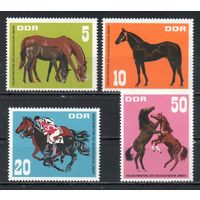 Выставка чистокровных лошадей социалистических стран ГДР 1967 год серия из 4-х марок
