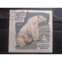 1964 Белый медведь без перф.