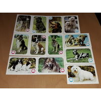 Календарики 1987 Украина. Собаки. Полная серия 12 шт. по месяцам одним лотом