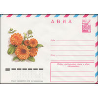 Художественный маркированный конверт СССР N 12707 (06.03.1978) АВИА  [Ноготки]