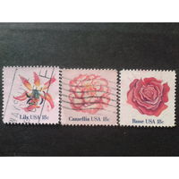 США 1981 цветы