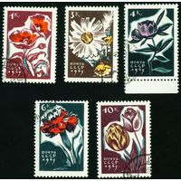 Цветы СССР 1965 год серия из 5 марок
