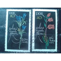 ГДР 1966 Цветы