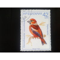 Болгария 1987 птица