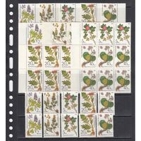 Цветы Лекарственные растения Флора 1985 СССР MNH полная серия 5 м зуб Х 9 Лот