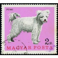 Собаки Венгрия 1967 год 1 марка