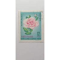 Вьетнам 1968. Розы.