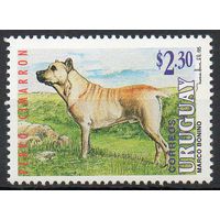 Фауна Собаки Уругвай 1995 год чистая серия из 1 марки (М)