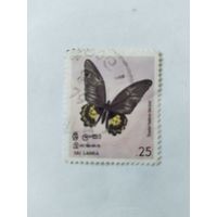 Шри Ланка  1978 бабочка