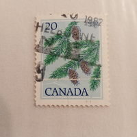 Канада 1982. Хвоя. Шишки