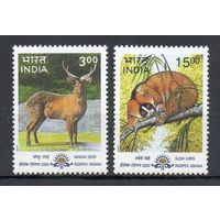 Дикая природа Фауна Индия 2000 год 2 марки