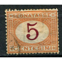 Королевство Италия - 1870/1894 - Доплатная марка - Цифры - 5c - [Mi.5p] - 1 марка. Гашеная.  (Лот 49AF)