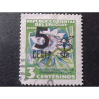 Уругвай 1959 цветок, надпечатка