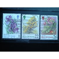 Мэн 1998-9 Цветы Михель-1,9 евро гаш
