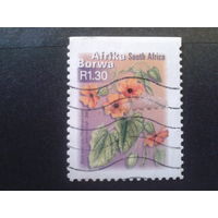 ЮАР 2000 стандарт, цветы
