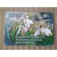 Карманный календарик  Подснежники. 2019 год