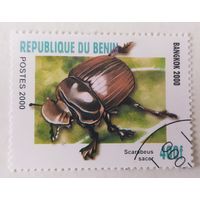 Бенин 2000, жук