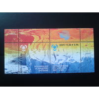 Эстония 2009 Межд. год охраны полярных регионов и ледников, марки из блока Михель-4,0 евро