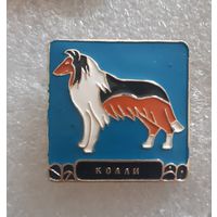 Значок собака Колли, СССР