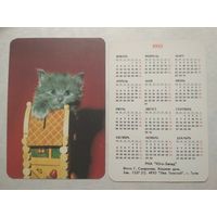 Карманный календарик. Котик. 1993 год