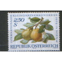 Полная серия из 1 марки 1972г. Австрия "Международный конгресс по садоводству в Вене" MNH