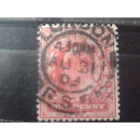 Англия 1902 Король Эдуард 7 1 пенни