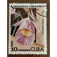 Куба 1980. Орхидеи. Марка из серии