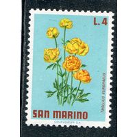 Сан Марино. Флора. Цветы