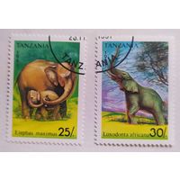 Танзания 1991, слоны