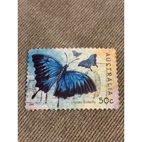 Австралия 2003. Бабочки. Ulysses butterfly. Марка из серии