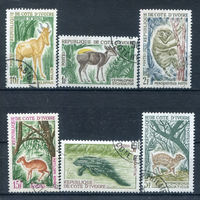 Кот-д 'Ивуар - 1963-1964г. - Животные - 6 марок - гашеные. Без МЦ!