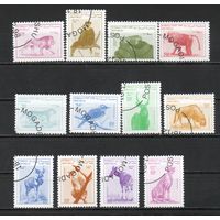 Стандартный выпуск Животные Африки Сомали 1998 год серия из 12 марок