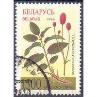 Беларусь 1996 флора лекарственные растения