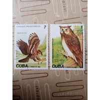 Куба 1982. Хищные птицы