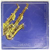 LP Duo Bednarek-Zgraja – Walking Colour (1981) Free Jazz, Contemporary Jazz