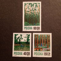 Польша 1971. Лесовостановление