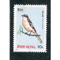 Непал. Фауна. Птицы
