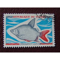 Чад 1969 г. Рыбы.