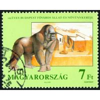 125 лет городскому зоопарку и ботаническому саду в Будапеште Венгрия 1991 год 1 марка