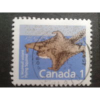 Канада 1988 стандарт, белка-летяга