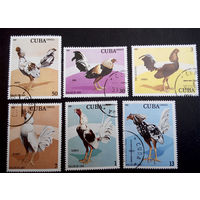 Куба 1981 г. Бойцовые петухи. Фауна. Птицы.  полная серия из 6 марок #0012-Ф1
