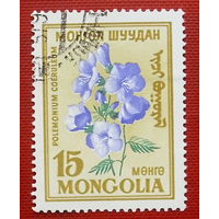 Монголия. Цветы. ( 1 марка ). 4-10.