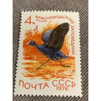 СССР 1976. Лысуха. Марка из серии