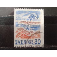Швеция 1967 Стандарт, дягиль