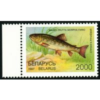 Редкие виды рыб водоемов Беларусь 1997 год (229) 1 марка
