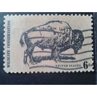 США 1970 бизон