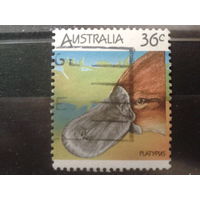 Австралия 1986 Утконос
