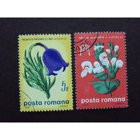 Румыния 1970г.  Флора.